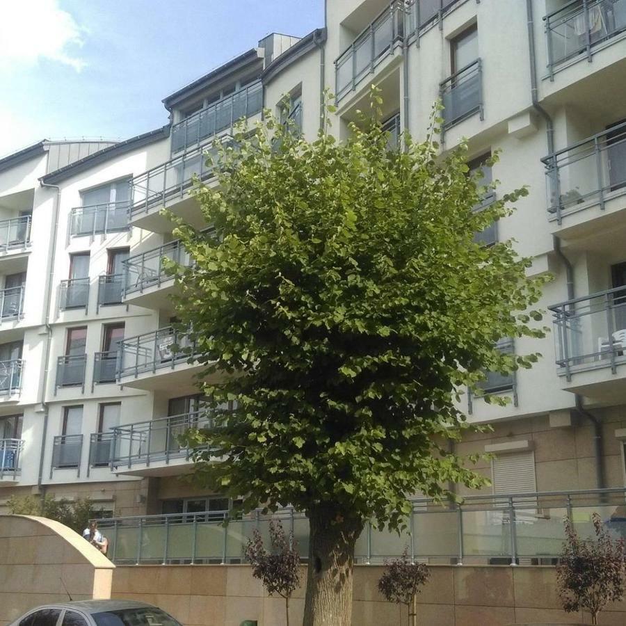 Apartament Flauta, Villa Marea Miedzyzdroje Exteriér fotografie